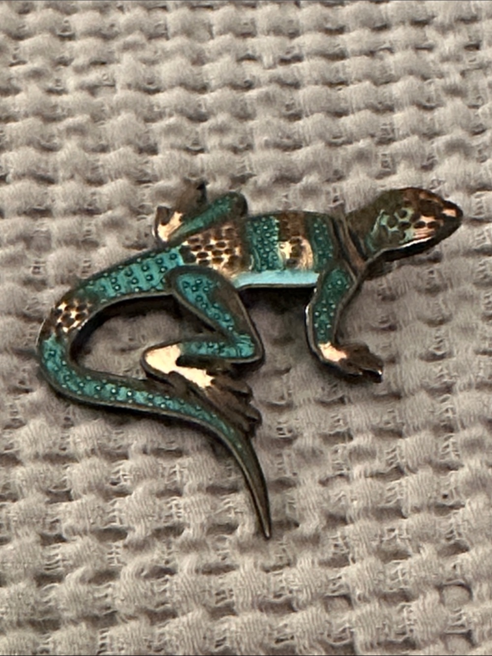 Wildlife Collection Collared Lizard Pin